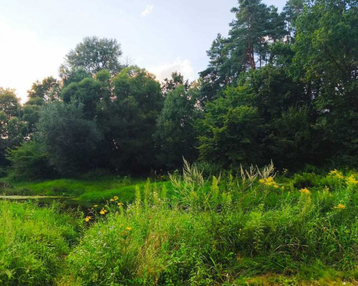 Działka Sprzedaż Radawa
